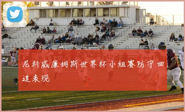 尼科威廉姆斯世界杯小组赛防守回追表现