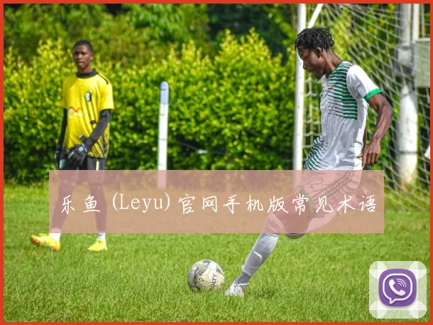 乐鱼 (Leyu)官网手机版常见术语