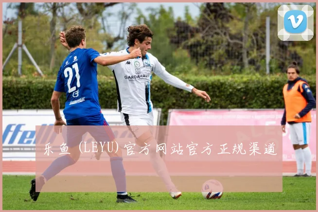 乐鱼 (LEYU)官方网站官方正规渠道